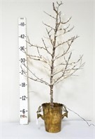 Lighted Tree Branch In Deer Handled Brass