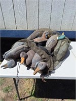 Multiple Duck Decoys