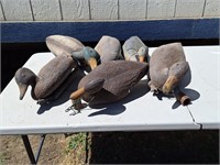 Duck Decoys