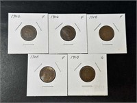 Indian Head Cents (5 coins)