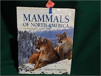 Mammals of North America ©1999