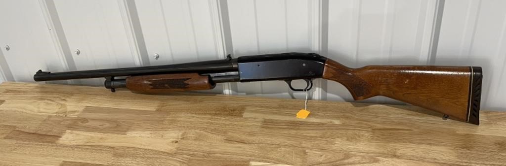 Firearm Collection Online Auction