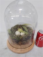 Fake bird's nest under glass dome