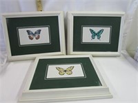 Butterflies Framed Canvas