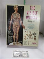 Vintage 1960 renewal visible woman assembly kit