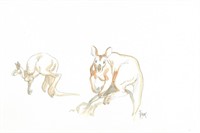 Frank Pé. Illustration originale kangourou