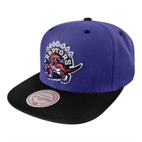 New Toronto Raptors Throwback hat