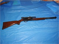 Winchester model 190 .22