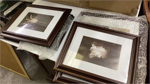 Seven brand new pictures and picture frames