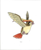 POKEMAN - "PIDGEOT" 8 x 10 " Fine Art Giclee -