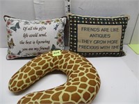 Neck Pillow and Cross Stitched Pillows