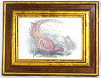 Framed Pheasant Print 6.5x8