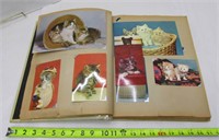200+ 1950 Post Card Collection animal & locations