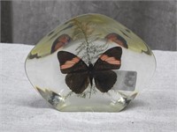 Butterfly Paperweight