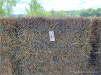 20 2nd Alfalfa Orchard Grass