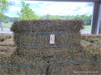 25 2nd Alfalfa Orchard Grass