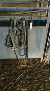 Two halters a lead rope and tack hook