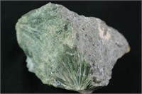 Actinolite from Sedalia Colorado, 9.4oz