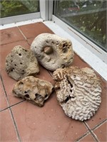 Lot of Miscellaneous Coral