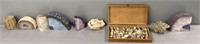 Geodes & Rocks Geological Interest Lot Collection