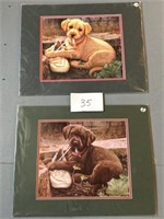 16x20 New Dog Pictures