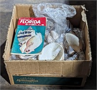 (N) shells and book for Florida shells