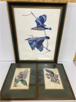 3-Framed Prints