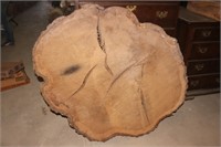 Giant Tree Slab