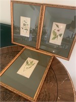 3 floral prints, brass wall sconce