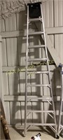 Werner 10ft (14ft maximum reach) extension ladder