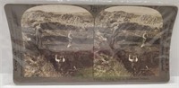 Antique Stereoview Cutting Peat in Ireland