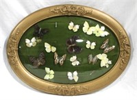 Vintage Bubble Glass Framed Butterflies