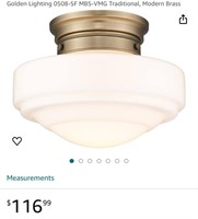 CEILING LAMP (OPEN BOX, UNTESTED)