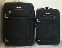 B - 2 PIECES SKYWAY LUGGAGE (M38)