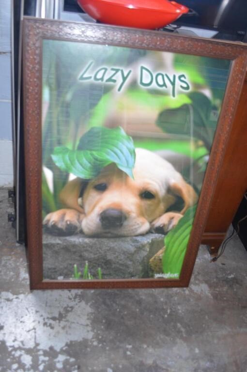 Lazy Days Puppy Framed print