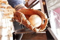 Wilson Pro-Special Baseball Mit