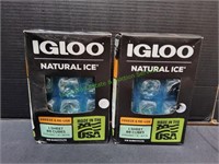 (2)Igloo Natural Ice Cube Sheets