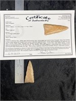 Early Triangular  with COA