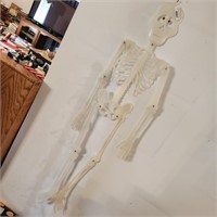 Plastic Skeleton  - approx 62" tall