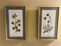 Framed & Matted Floral Wall Art Set