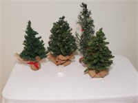 Assortment of Christmas Trees