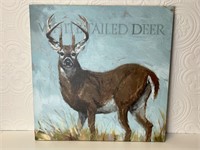 White Tailed Deer Giclee Canvas Wall Art