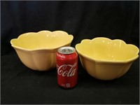 2) yellow bowls
