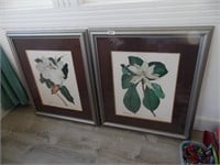 2 FRAMED PICTURES OF FLOWERS