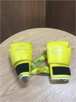 Pair of Budo World Boxing Gloves