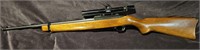 Ruger Model 10/×× Carbine .22LR w/Bushnell Scope