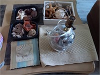 Box of nautical shells, starfish lamp and more.