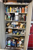 GARAGE AND AUTO CHEMICALS, CABINET CONTENTS ONLY