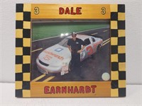 Dale earnhardt framed photo