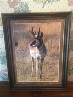 BEAUTIFULLY FRAMED AND MATTED UNDER GLASS